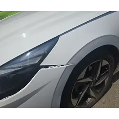 2021 Hyundai Avante / Elantra Inspiration